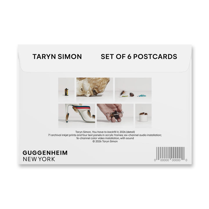 The back of the Taryn Simon Cicadas Post Card Set has her name, Guggenheim Museum branding, and vibrant images.