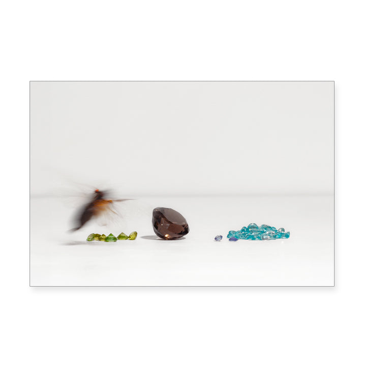 A flying insect hovers by gems, evoking the Guggenheim Museum’s Taryn Simon Cicadas Post Card Set on white.