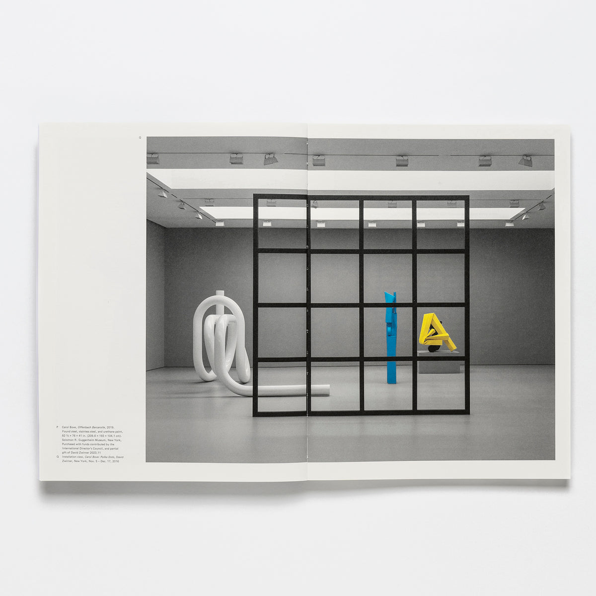 Carol Bove Exhibition Catalogue