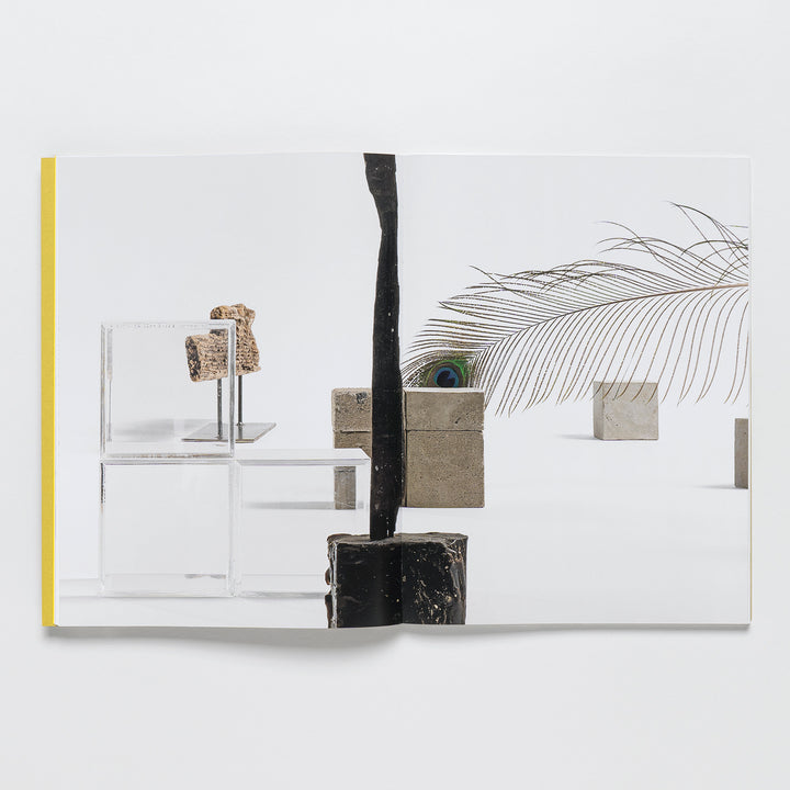 The Carol Bove Exhibition Catalogue by Guggenheim Museum is open, displaying sculptures on a white background.