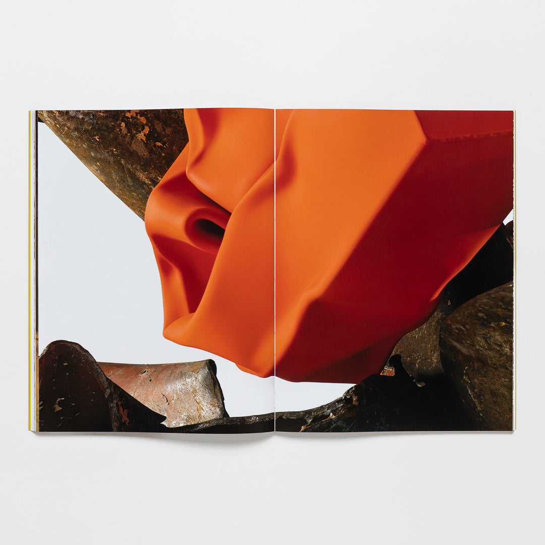 Open book, first edition—Carol Bove Exhibition Catalogue by Guggenheim Museum, with photo of orange object among rusted metal.