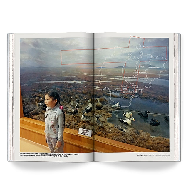 A young girl stands before a glass diorama of ducks and wetlands, with map names overlaying the museum display, evoking the quiet beauty captured in Countryside, A Report.
