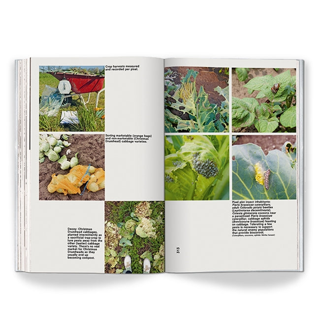 The open book "Countryside, A Report" displays photos of crops and vegetables, harvested produce, plant pests, and leaf close-ups with damage or insects. Each image includes a brief text description.
